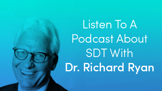 SDT Podcast